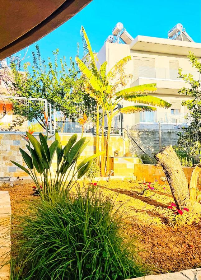 Glaros Beach Apartment 카토다라초 외부 사진